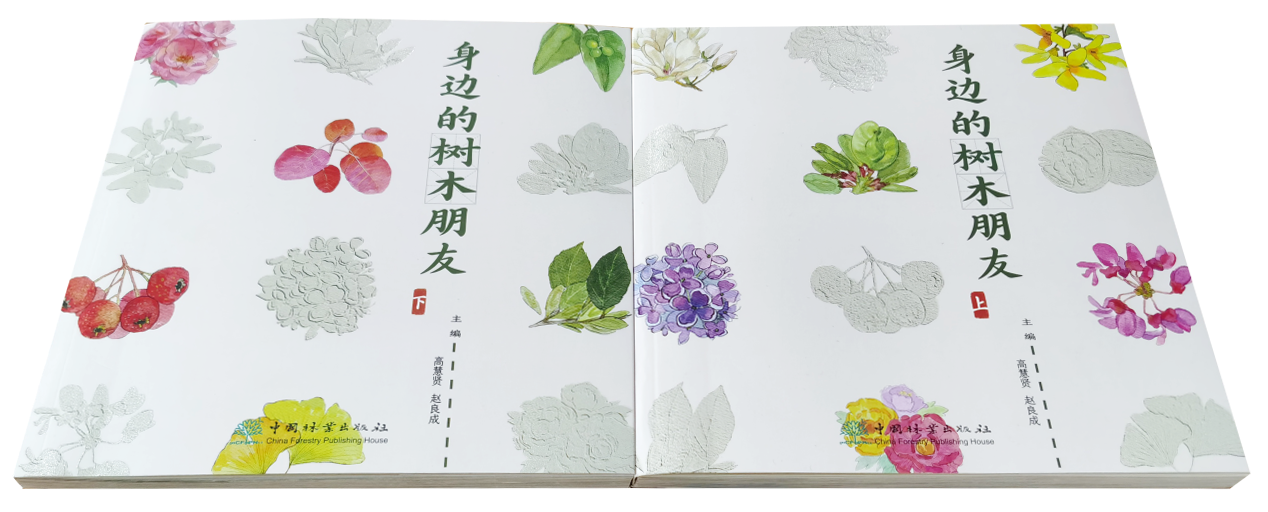 微信图片_20241112171010.png