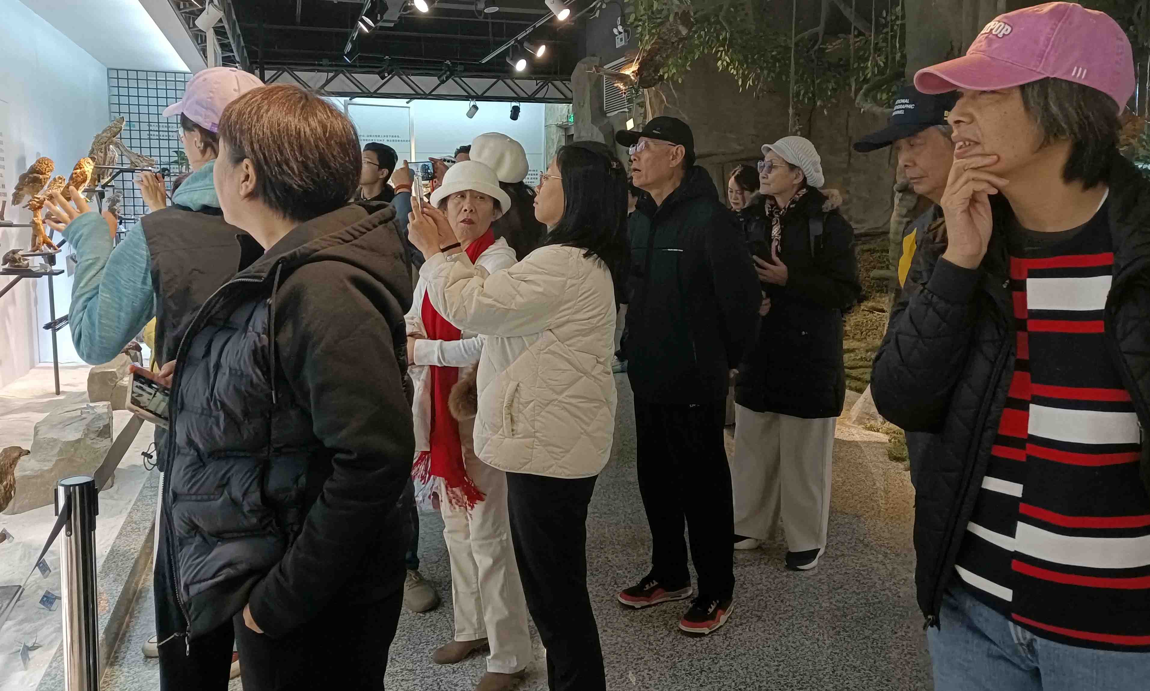 微信图片_20251124153514_82_380.jpg